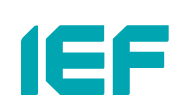 International Energy Forum