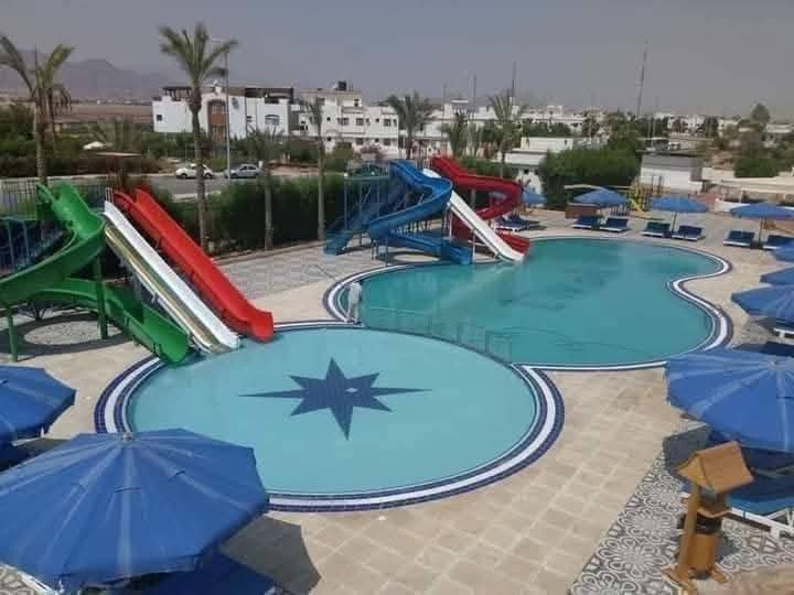 صورة مصغرة 2