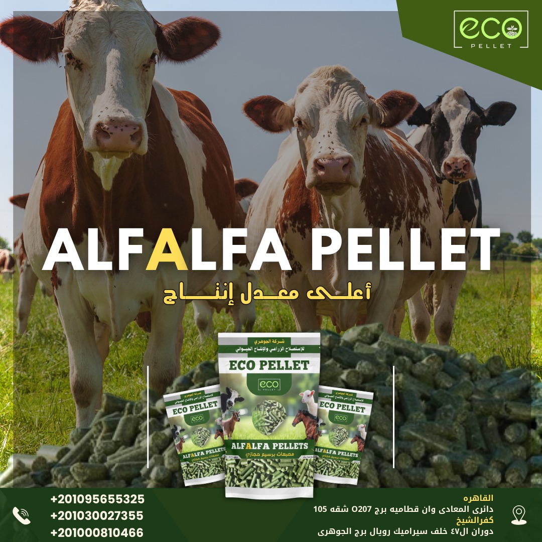 eco pellet