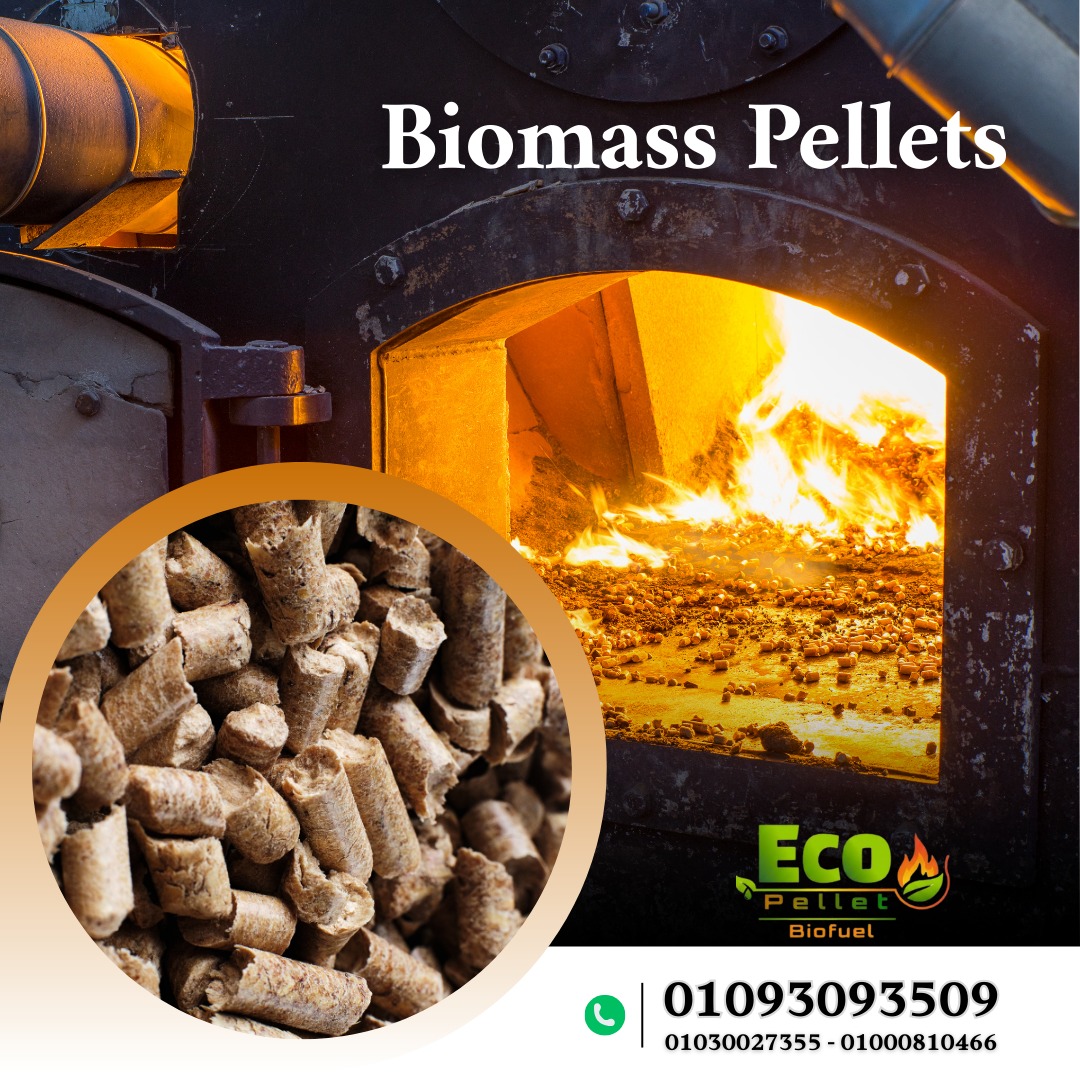 Eco pellet Group